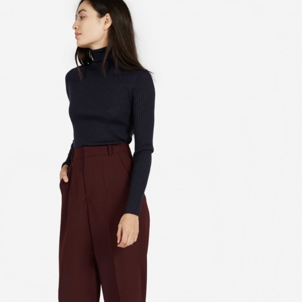Everlane Ribbed Wool Turtleneck - Picture 4 of 7